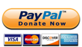 PayPal Donate Now button